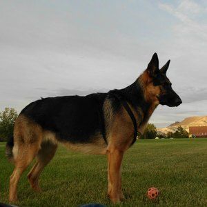 Meet your Posher, Rick